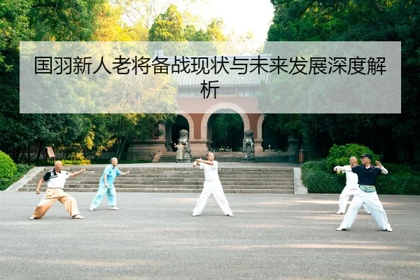国羽新人老将备战现状与未来发展深度解析