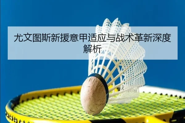 尤文图斯新援意甲适应与战术革新深度解析